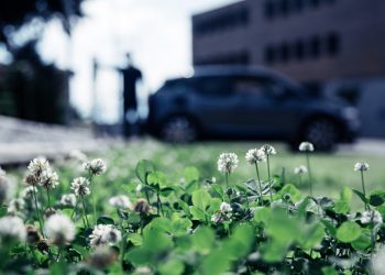 Svizzera: Emissioni CO2, lieve calo per riscaldamento e carburante