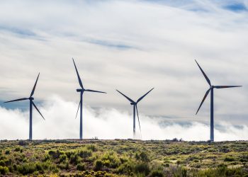 Texas e Portogallo dimostrano il potenziale delle energie rinnovabili