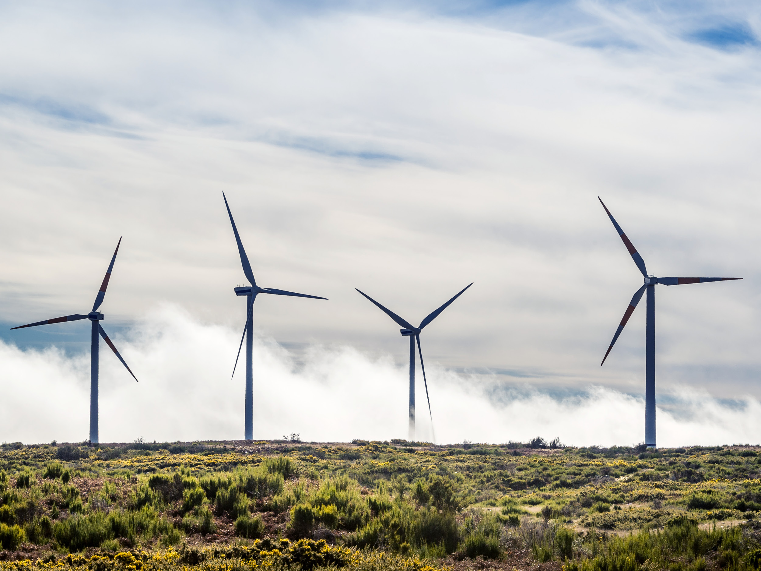 Texas e Portogallo dimostrano il potenziale delle energie rinnovabili